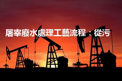 屠宰廢水處理工藝流程：從污染到資源的艷麗轉(zhuǎn)變？
